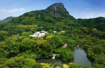 Parcul gigantic japonez transformat într-o pădure de lumină psihedelică