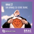 Caramida BRAC BRIKSTON - Brac 290/238, Brac 365/238