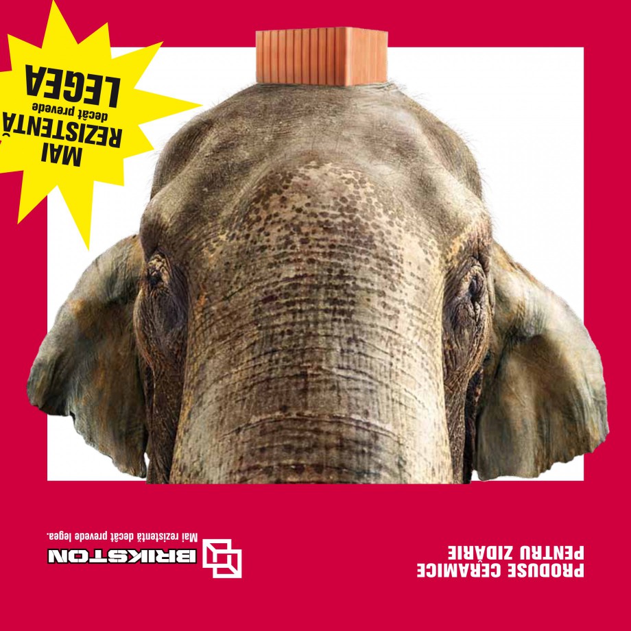 Pagina 1-Blocuri ceramice pentru zidarie BRIKSTON CV D 170, CV D 210, CV D170/290, GO, CF 63 MODEL 01, BKS 11...