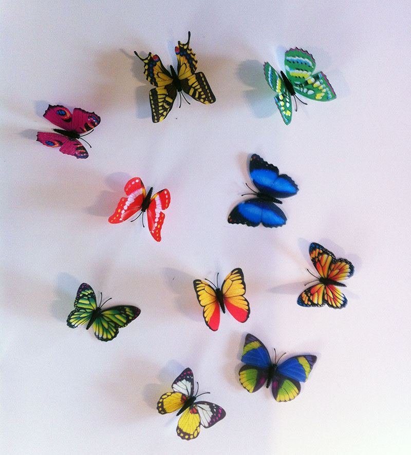 Poze Imagini Walplus Fluturi 3d Multicolori Stickere Decorative