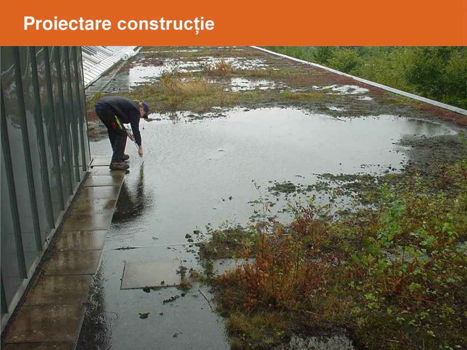 Pagina 4-Acoperis cu vegetatii extensive si intensive   BAUDER Catalog, brosura Romana e structură acoperiș...