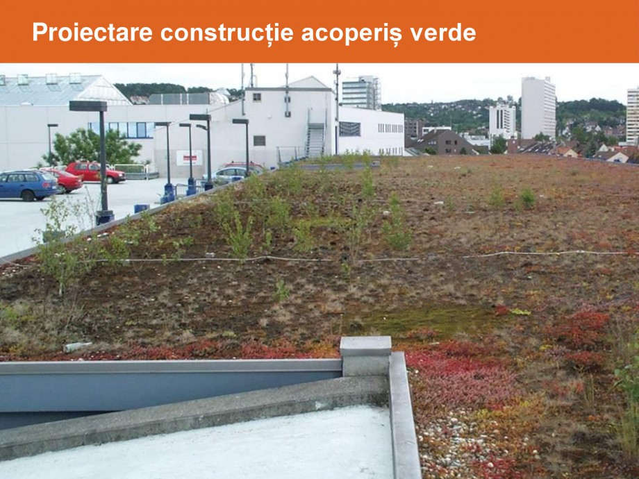 Pagina 41-Acoperis cu vegetatii extensive si intensive   BAUDER Catalog, brosura Romana 