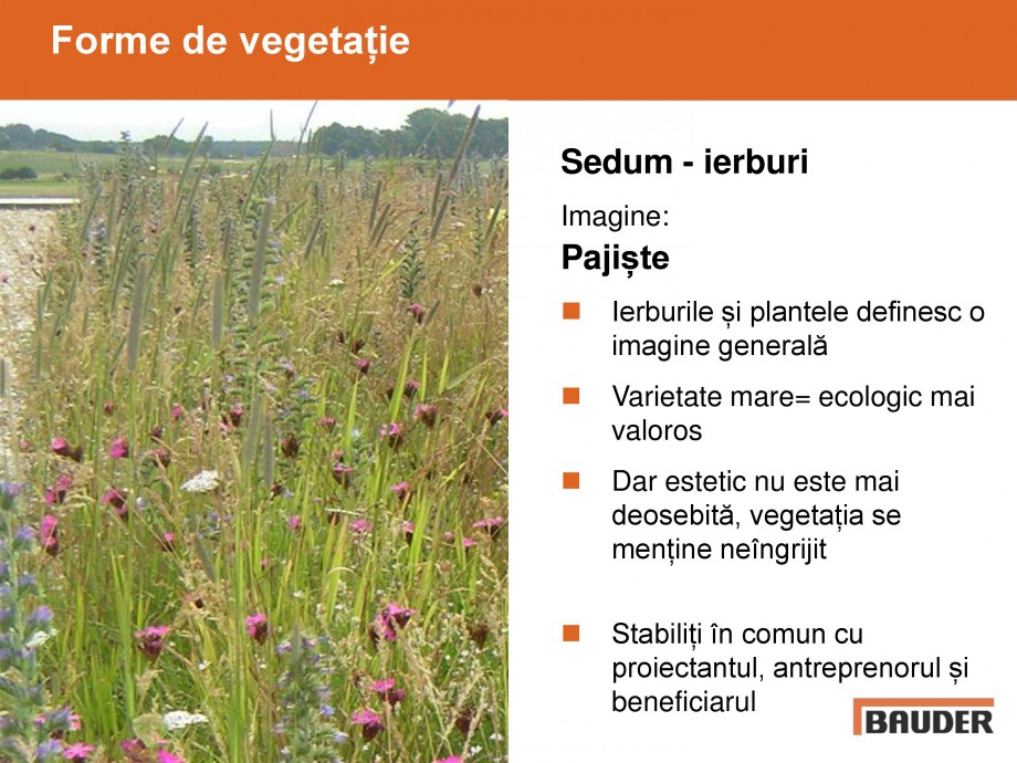 Pagina 4-Acoperisuri verzi - Metode de inverzire si intretinere BAUDER Catalog, brosura Romana e vegetație...