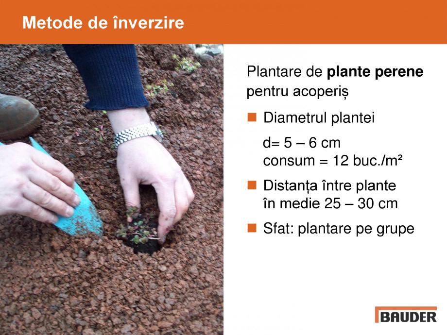 Pagina 8-Acoperisuri verzi - Metode de inverzire si intretinere BAUDER Catalog, brosura Romana 