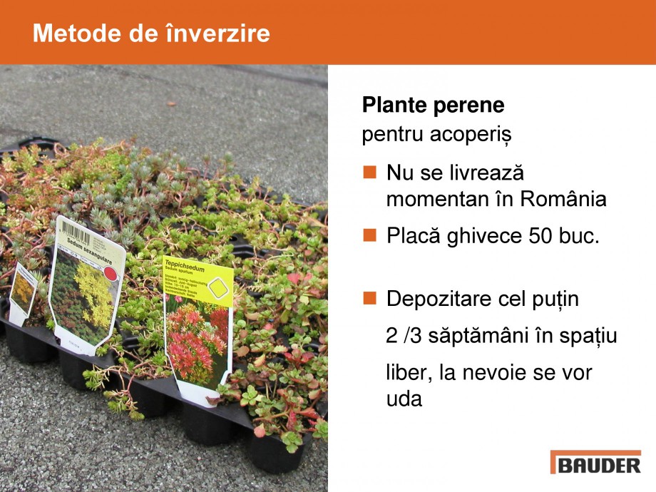 Pagina 9-Acoperisuri verzi - Metode de inverzire si intretinere BAUDER Catalog, brosura Romana 