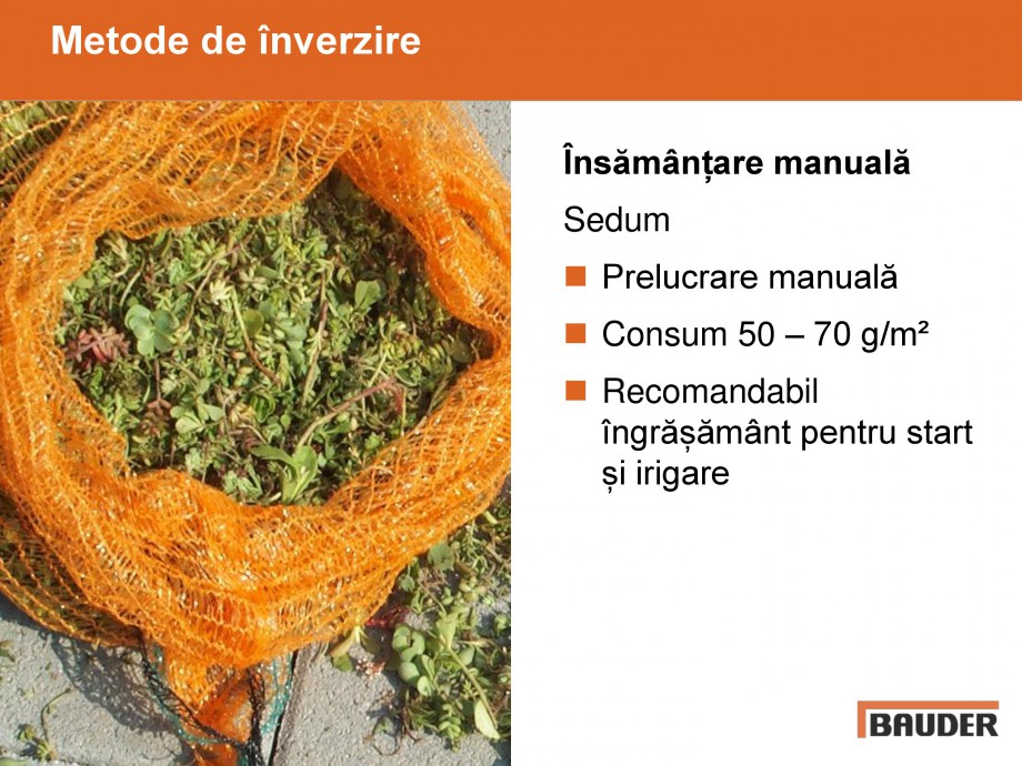 Pagina 10-Acoperisuri verzi - Metode de inverzire si intretinere BAUDER Catalog, brosura Romana 