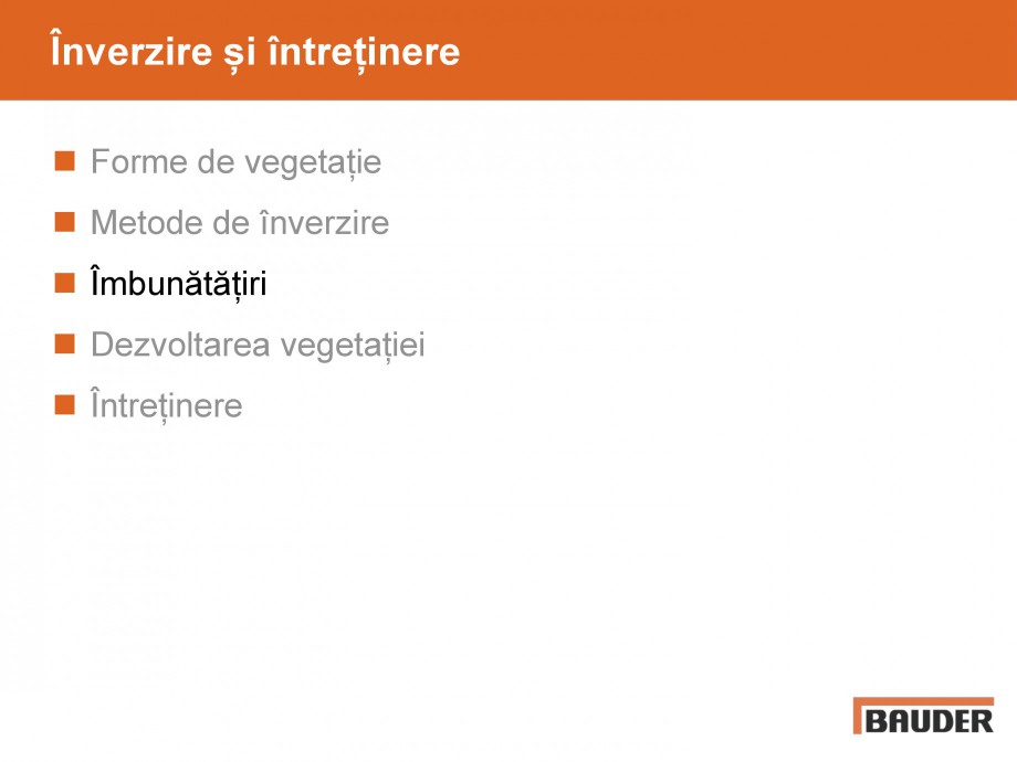 Pagina 13-Acoperisuri verzi - Metode de inverzire si intretinere BAUDER Catalog, brosura Romana 