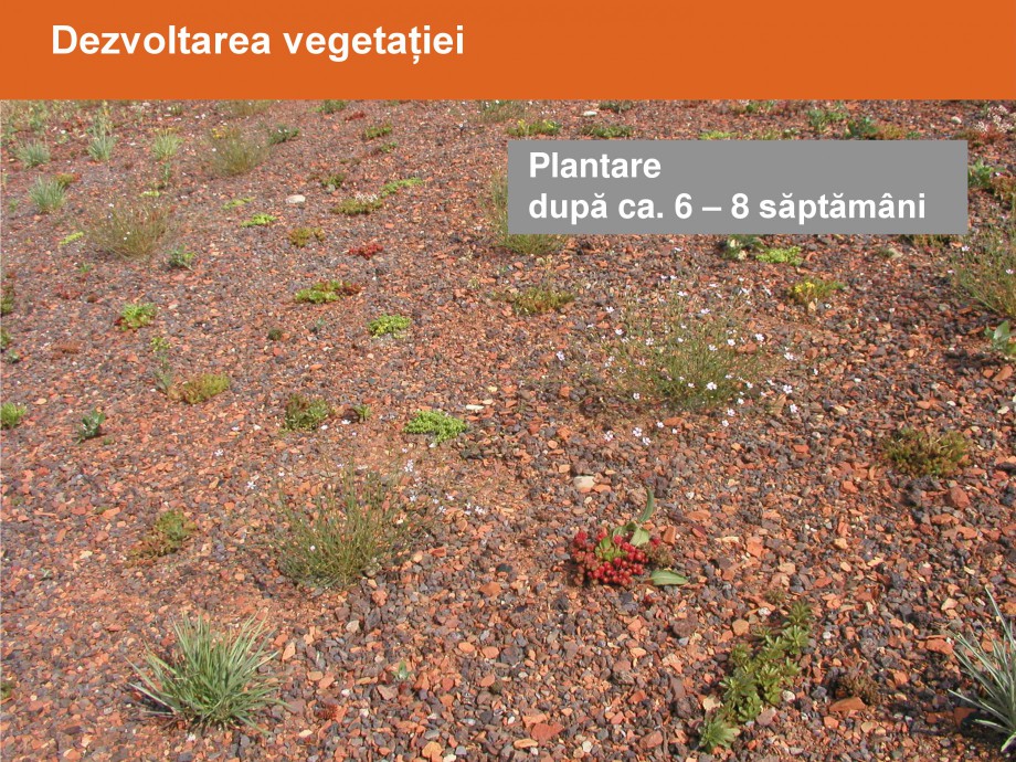 Pagina 16-Acoperisuri verzi - Metode de inverzire si intretinere BAUDER Catalog, brosura Romana 