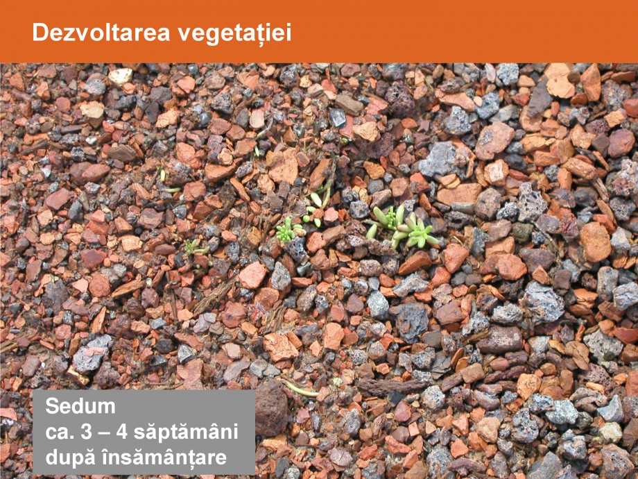 Pagina 18-Acoperisuri verzi - Metode de inverzire si intretinere BAUDER Catalog, brosura Romana 