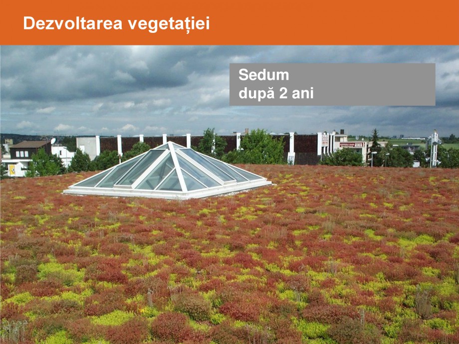 Pagina 21-Acoperisuri verzi - Metode de inverzire si intretinere BAUDER Catalog, brosura Romana 