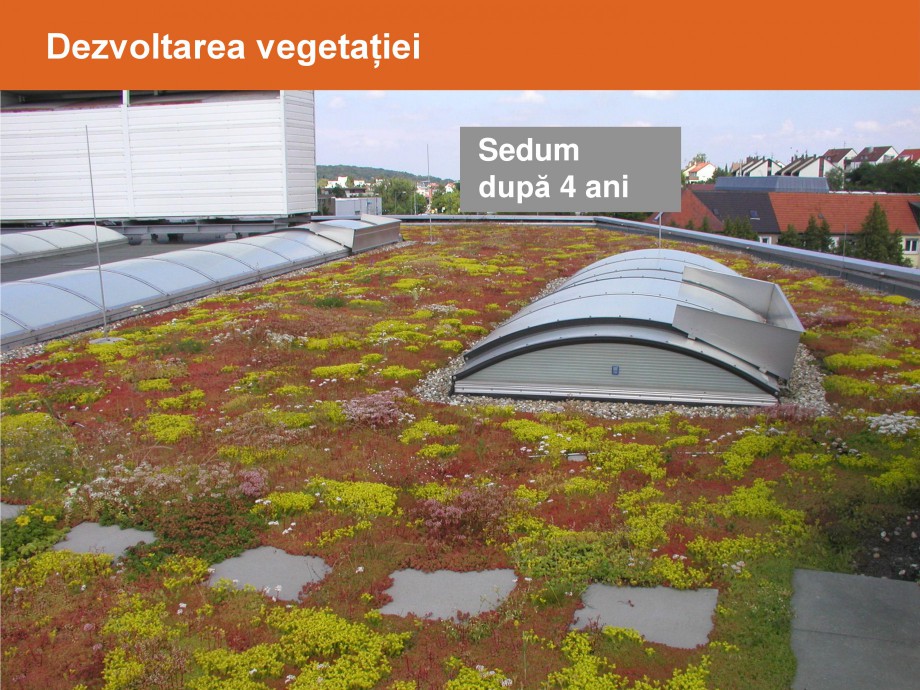 Pagina 22-Acoperisuri verzi - Metode de inverzire si intretinere BAUDER Catalog, brosura Romana 