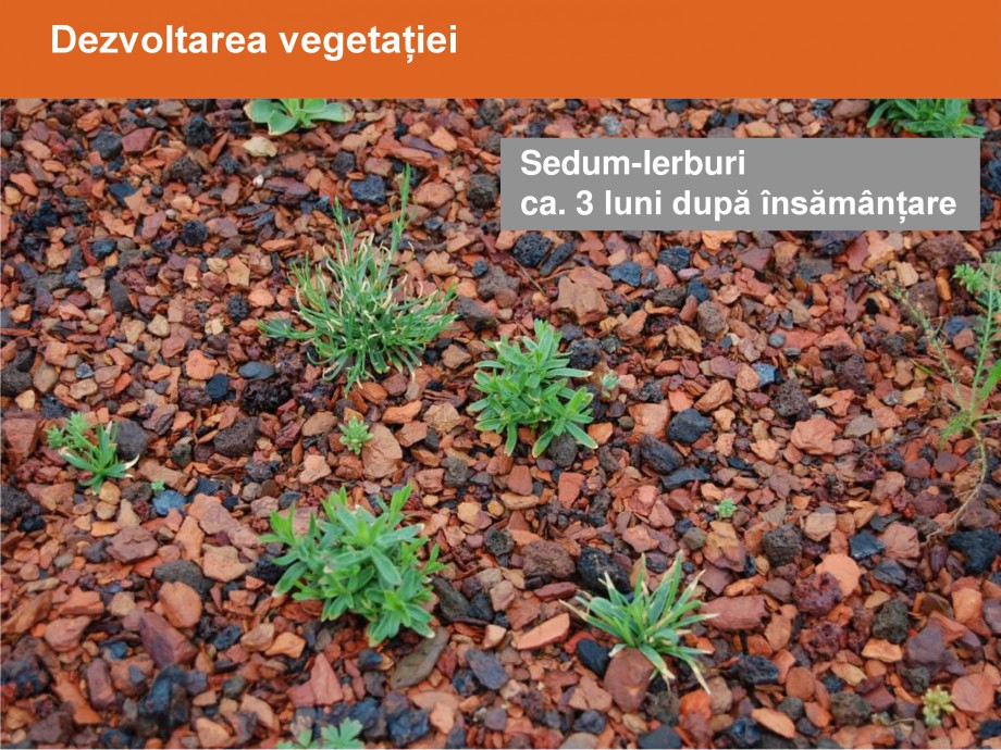 Pagina 23-Acoperisuri verzi - Metode de inverzire si intretinere BAUDER Catalog, brosura Romana 