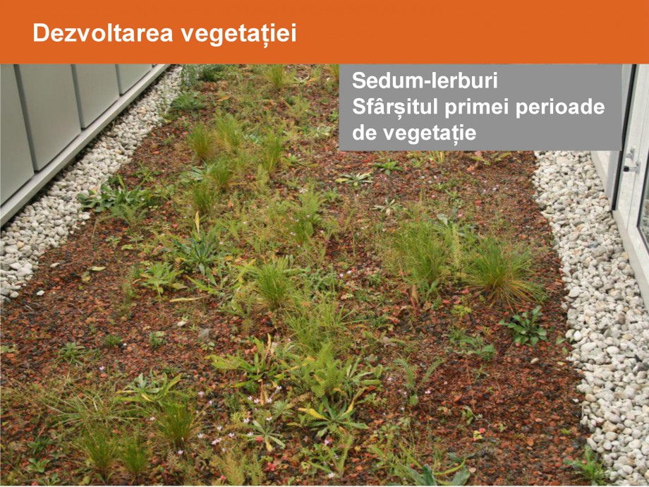 Pagina 24-Acoperisuri verzi - Metode de inverzire si intretinere BAUDER Catalog, brosura Romana 