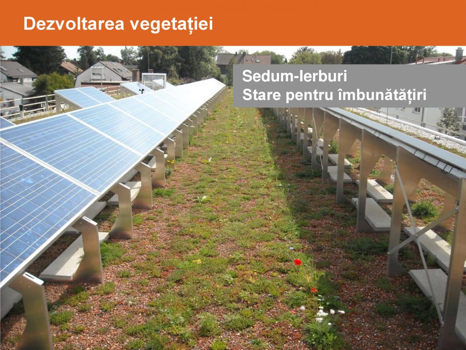 Pagina 26-Acoperisuri verzi - Metode de inverzire si intretinere BAUDER Catalog, brosura Romana 