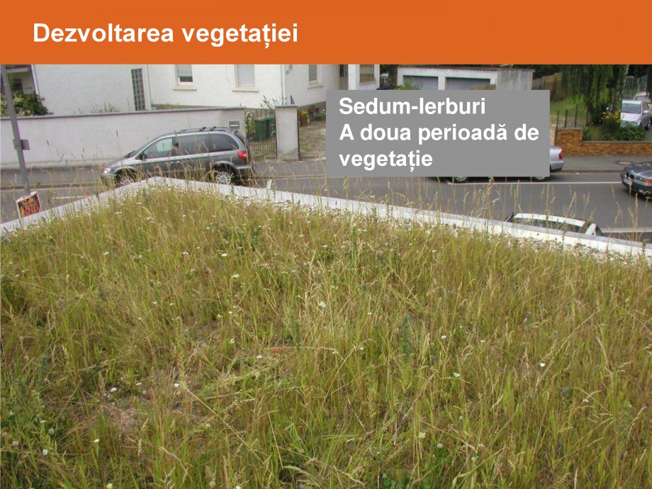 Pagina 27-Acoperisuri verzi - Metode de inverzire si intretinere BAUDER Catalog, brosura Romana 