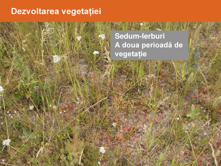 Pagina 28-Acoperisuri verzi - Metode de inverzire si intretinere BAUDER Catalog, brosura Romana 