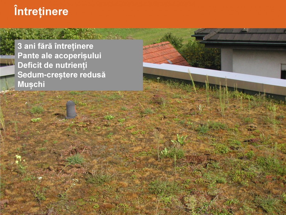 Pagina 33-Acoperisuri verzi - Metode de inverzire si intretinere BAUDER Catalog, brosura Romana 