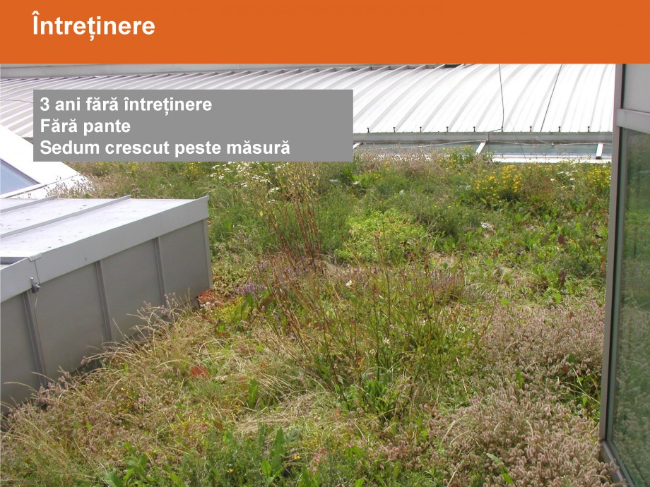 Pagina 34-Acoperisuri verzi - Metode de inverzire si intretinere BAUDER Catalog, brosura Romana 