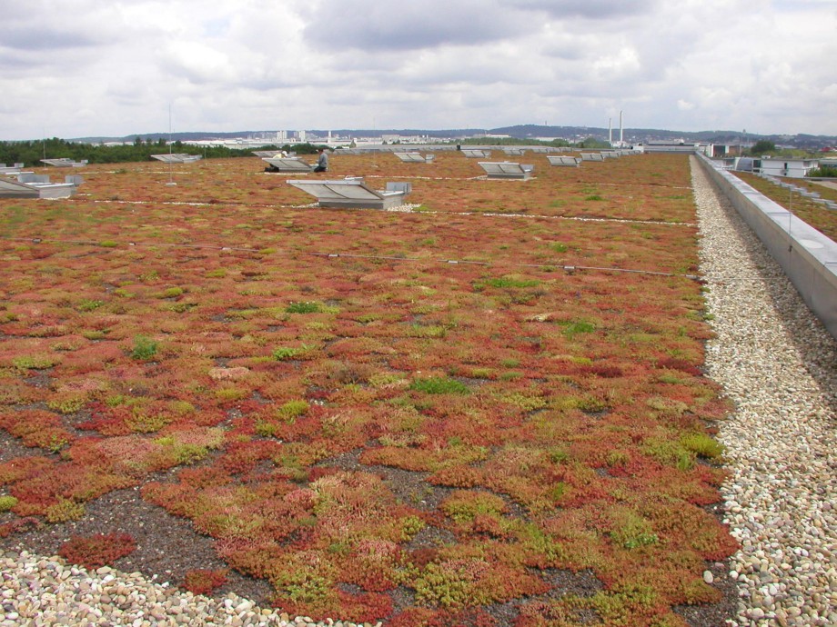 Pagina 40-Acoperisuri verzi - Metode de inverzire si intretinere BAUDER Catalog, brosura Romana 