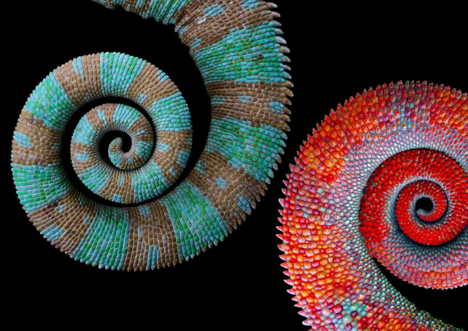 Pagina 2-Placi din vata minerala bazaltica pentru fatade ventilate - Chameleon Rockpanel Catalog, brosura...