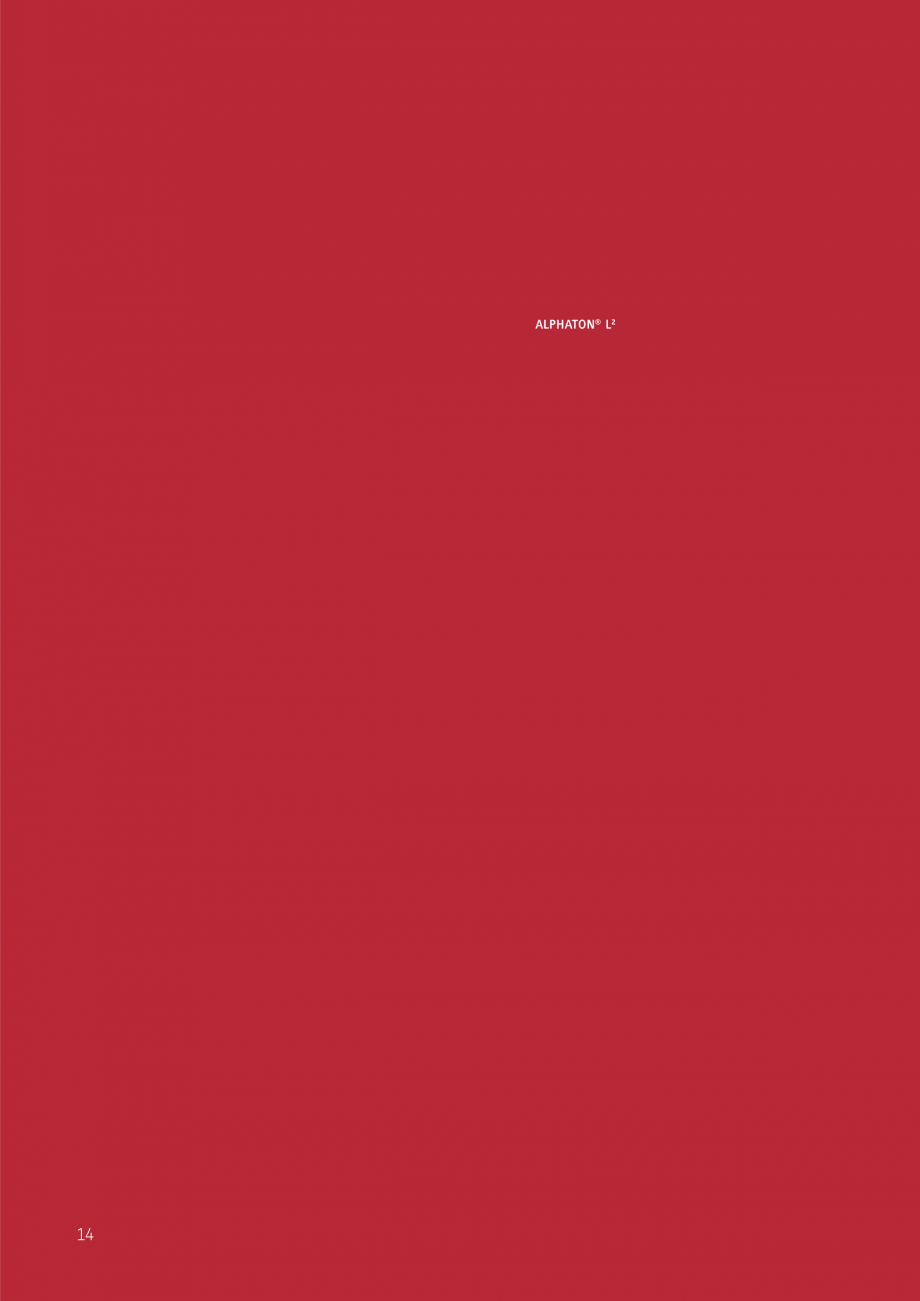 Pagina 14-Placi ceramice pentru fatada MOEDING ALPHATON Catalog, brosura Engleza substructure system

L2...