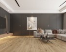 Pardoseli SPC rezistente la apa, trafic Intens si cu izolatie inclusa Econfloor