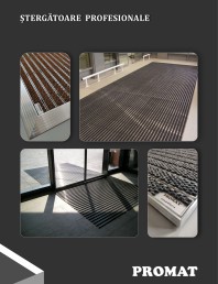 Stergatoare profesionale