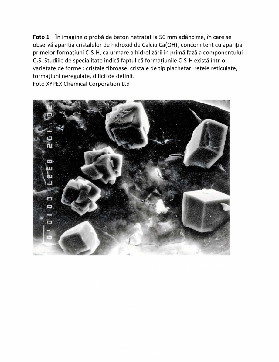 Pagina 1-Fazele procesului de impermeabilizare XYPEX Instructiuni montaj, utilizare Romana Foto 1 – În...