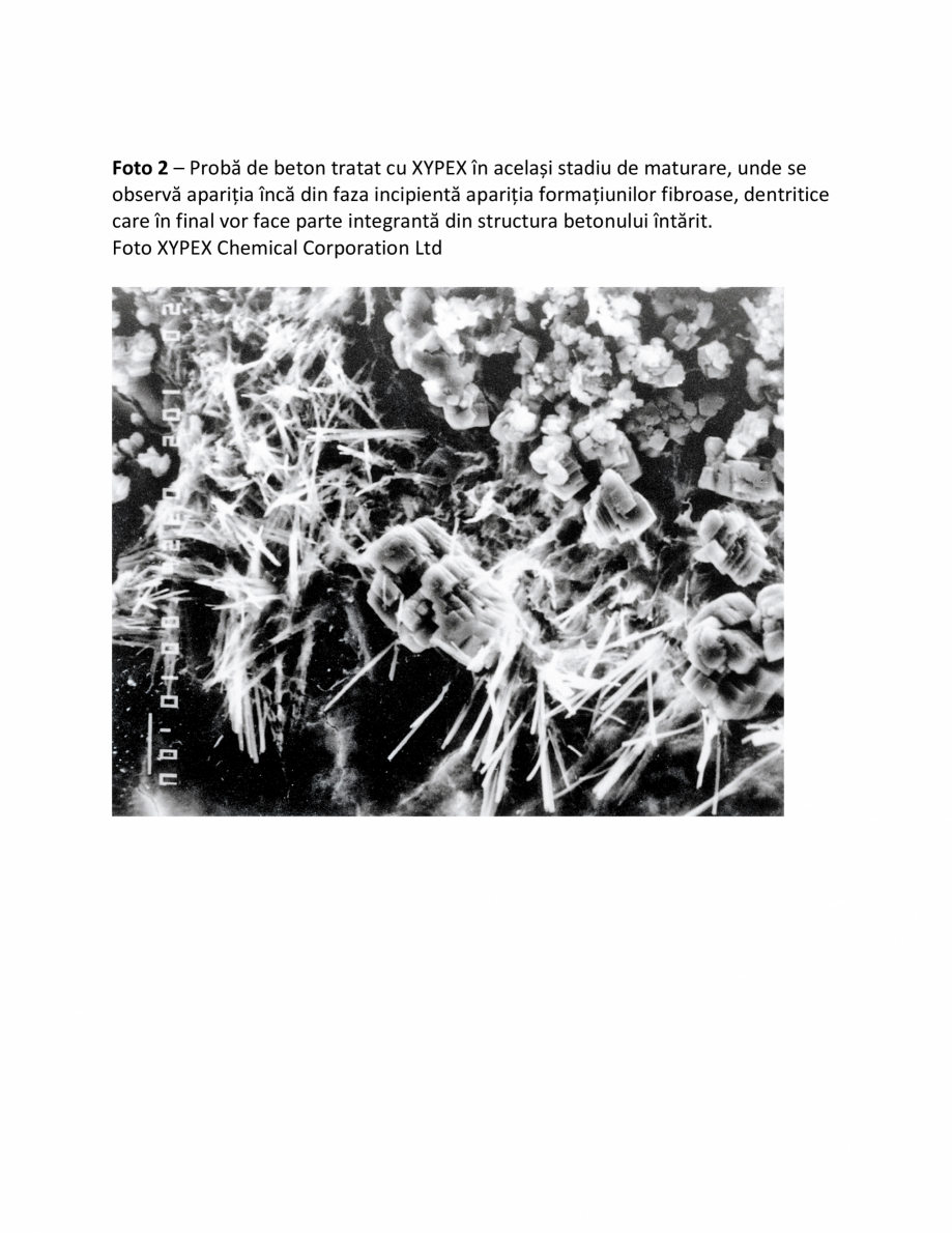 Pagina 2-Fazele procesului de impermeabilizare XYPEX Instructiuni montaj, utilizare Romana  a structurilor...
