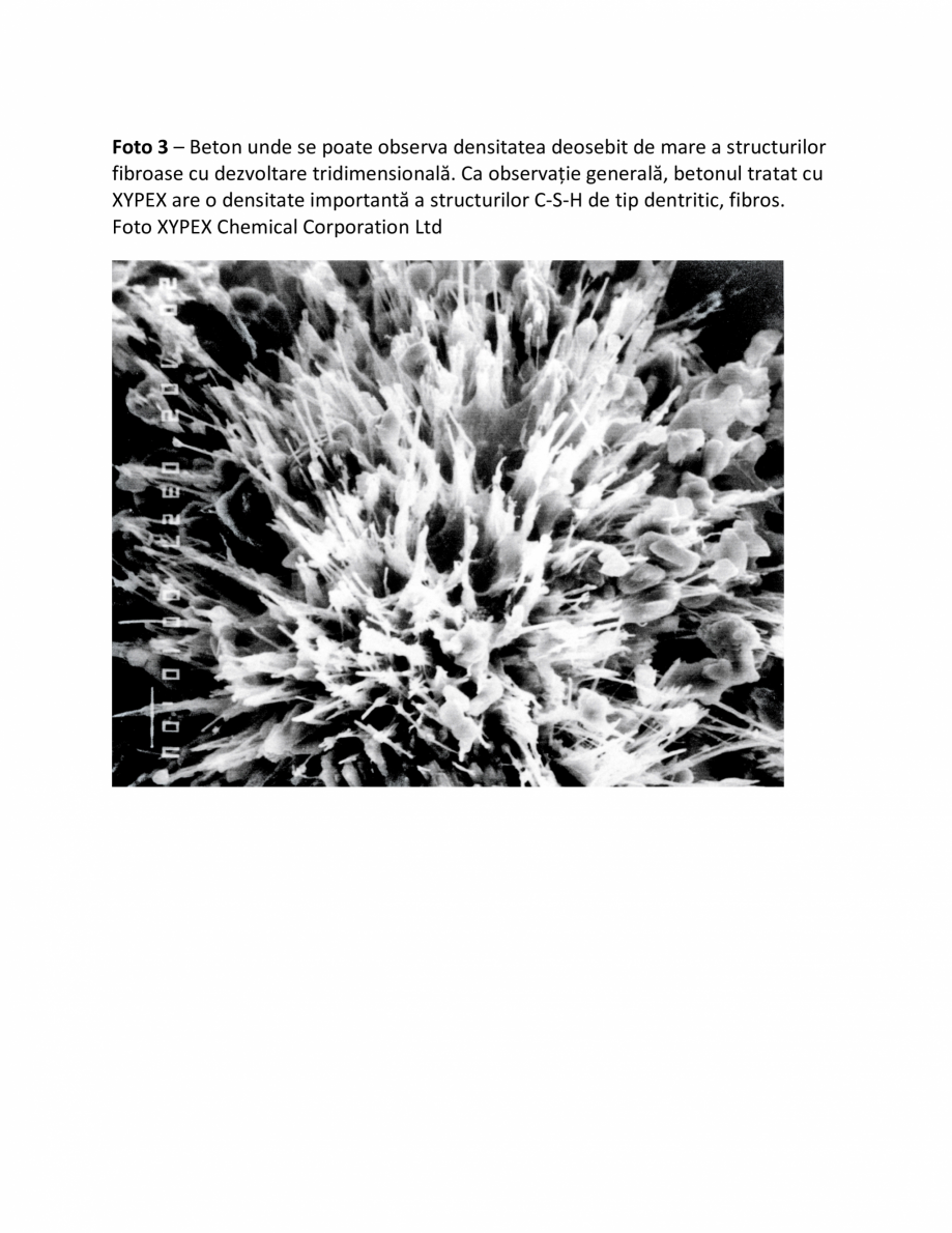 Pagina 3-Fazele procesului de impermeabilizare XYPEX Instructiuni montaj, utilizare Romana 