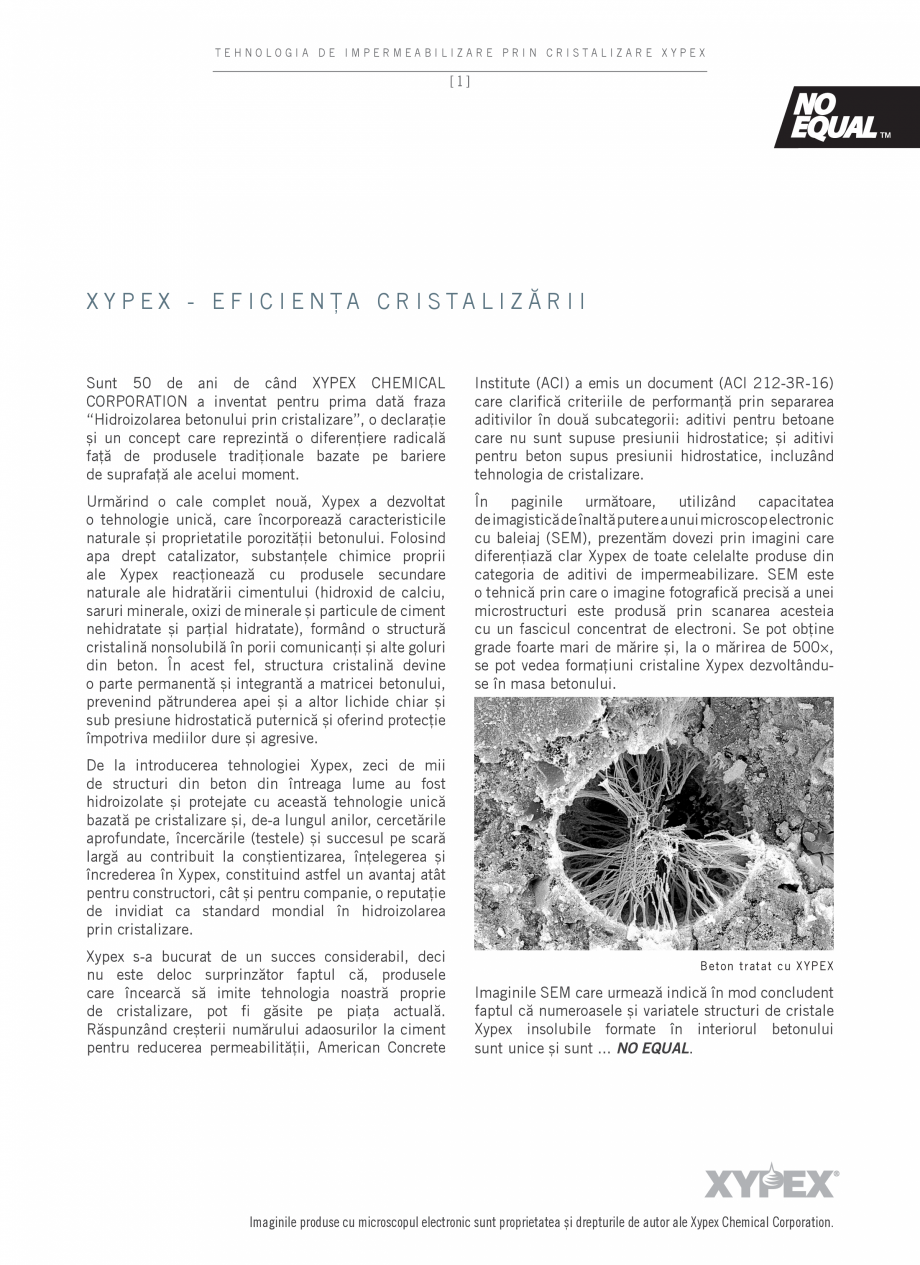 Pagina 3-Tehnologia de impermeabilizare prin cristalizare - XYPEX XYPEX Catalog, brosura Romana și agresive....