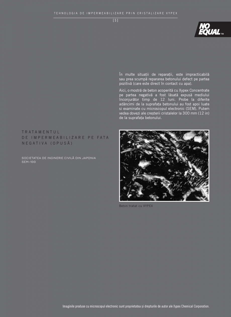 Pagina 7-Tehnologia de impermeabilizare prin cristalizare - XYPEX XYPEX Catalog, brosura Romana ri de la 1,0
...
