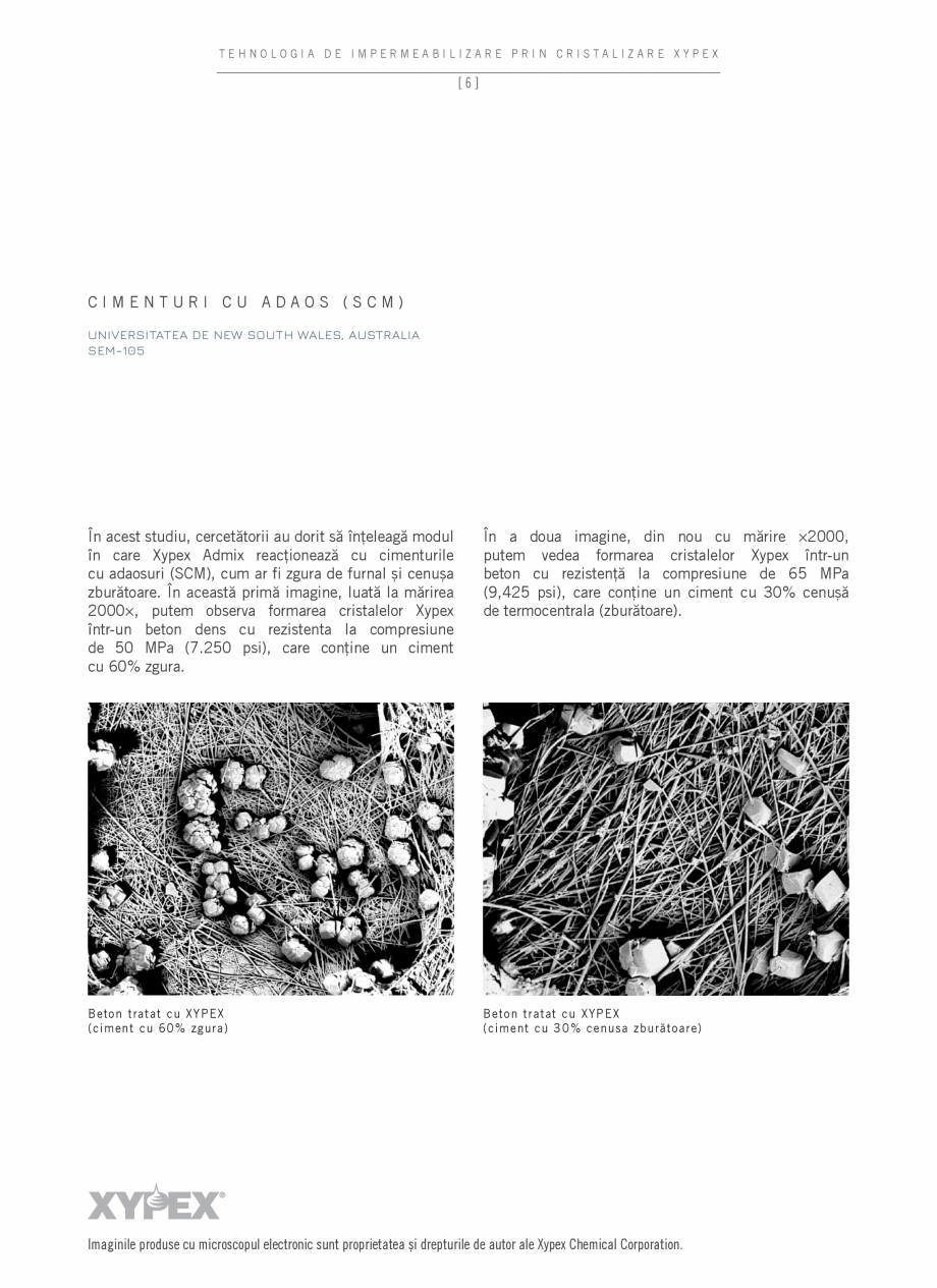 Pagina 8 - Tehnologia de impermeabilizare prin cristalizare - XYPEX XYPEX Catalog, brosura Romana e ...