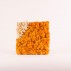 Tablou licheni “Orange Sunrise”, fara rama Tablouri lichieni