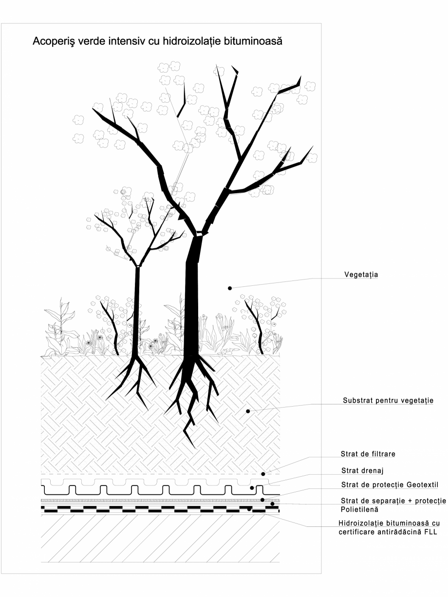 Pagina 1-CAD-DWG Structura acoperis verde intensiv cu hidroizolatie bituminoasa ODU GREEN ROOF Detaliu de...
