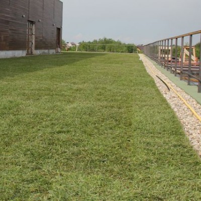 ODU GREEN ROOF Gradinita din Chitila cu acoperis verde - Sisteme complete de acoperișuri si terase