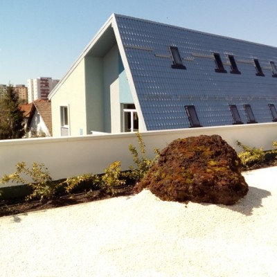 ODU GREEN ROOF Terasa verde intensiva_18 - Sisteme complete de acoperișuri si terase verzi intensive și