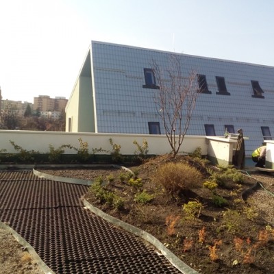 ODU GREEN ROOF Terasa verde intensiva_23 - Sisteme complete de acoperișuri si terase verzi intensive și