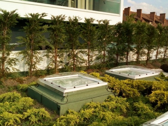 ODU GREEN ROOF Terasa verde intensiva_25 - Sisteme complete de acoperișuri si terase verzi intensive și