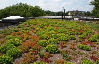 Sisteme complete de acoperișuri si terase verzi intensive și extensive ODU GREEN ROOF