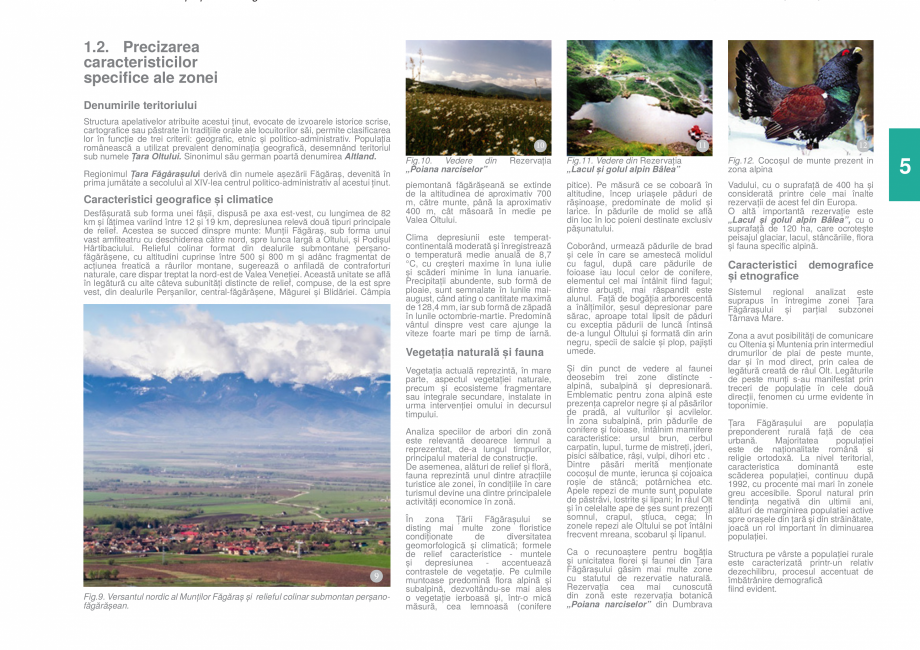 Pagina 7-Zona Tara Fagarasului - Ghid de arhitectura pentru incadrarea in specificul local din mediul rural  ...