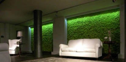 Detaliu camera cu perete verde Perete verde