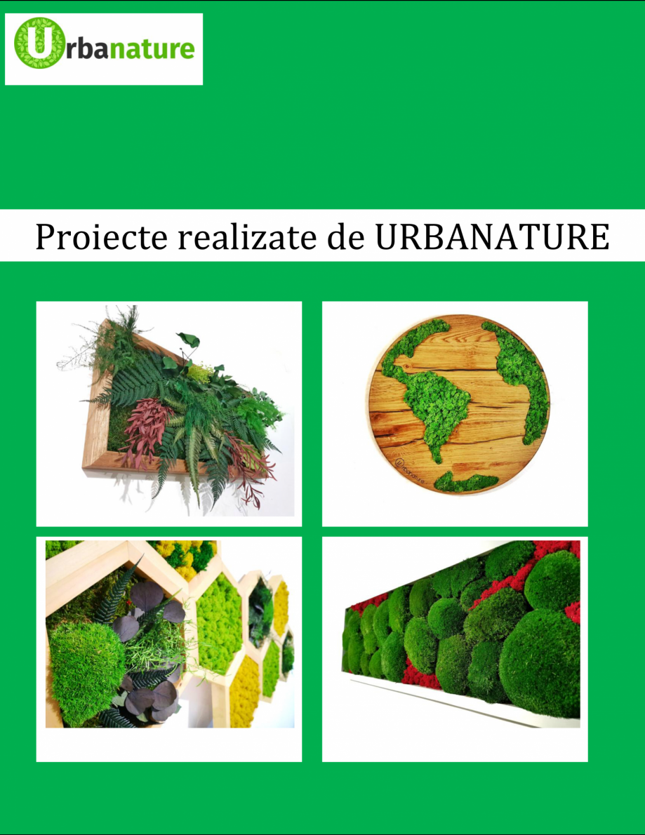 Pagina 1-Proiecte realizate de URBANATURE - Tablouri cu licheni și muschi decorativi Urbanature Catalog,...