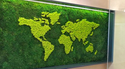 Tablou verde - Continentele Tablouri cu muschi si licheni decorativi