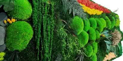 Detaliu tablou verde Tablouri cu muschi si licheni decorativi