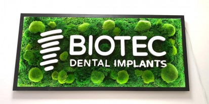 Tablou verde pentru cabinet stomatologic Tablouri cu muschi si licheni decorativi