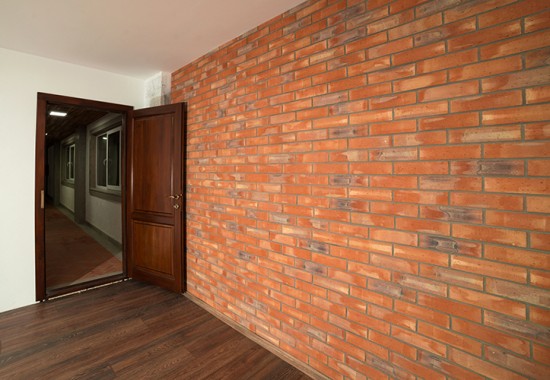 Caramida Aparenta Decorativa Pentru Placari Interioare Si