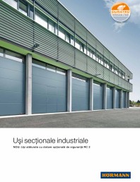 Usi sectionale industriale