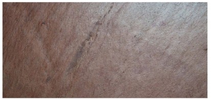Copper Red 7 Copper Red Quarzit flexibil pentru amenajari interioare si exterioare