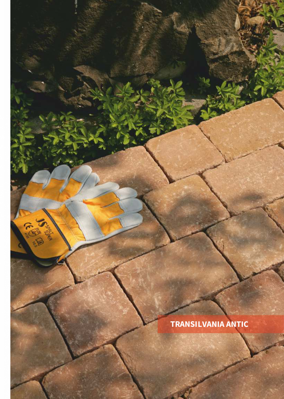 Pagina 21 - Catalog produse WISE 2024 WISE TETRA XXL, TETRA COMBI, TETRA XL, VEZUVIU, TRANSILVANIA, ...